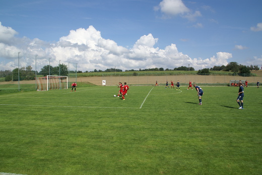 DSC08672 - W.JPG