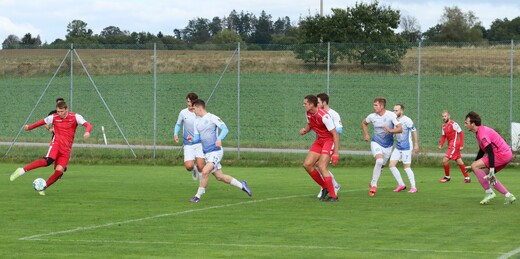 IMG_3411.JPG