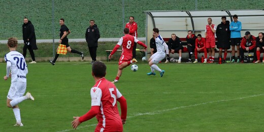 IMG_4335.JPG