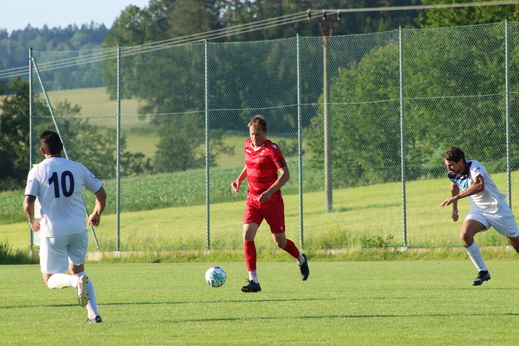 IMG_8982.JPG
