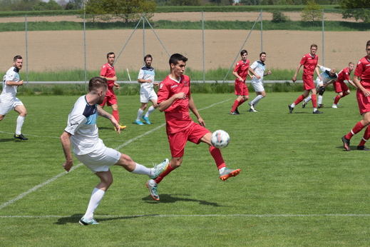IMG_9895.JPG